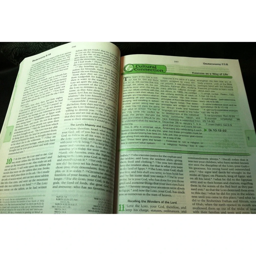 The Catholic Youth Bible Revised New‎ American Bible Saint Mary Press Paperback